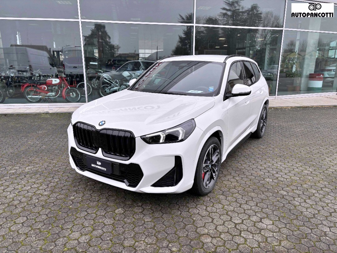BMW X1            (U11)