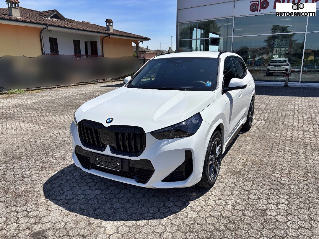 BMW X1            (U11)