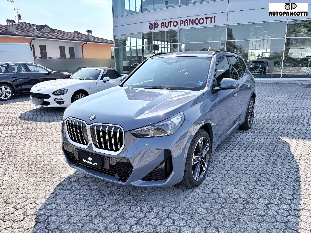 BMW X1            (U11)