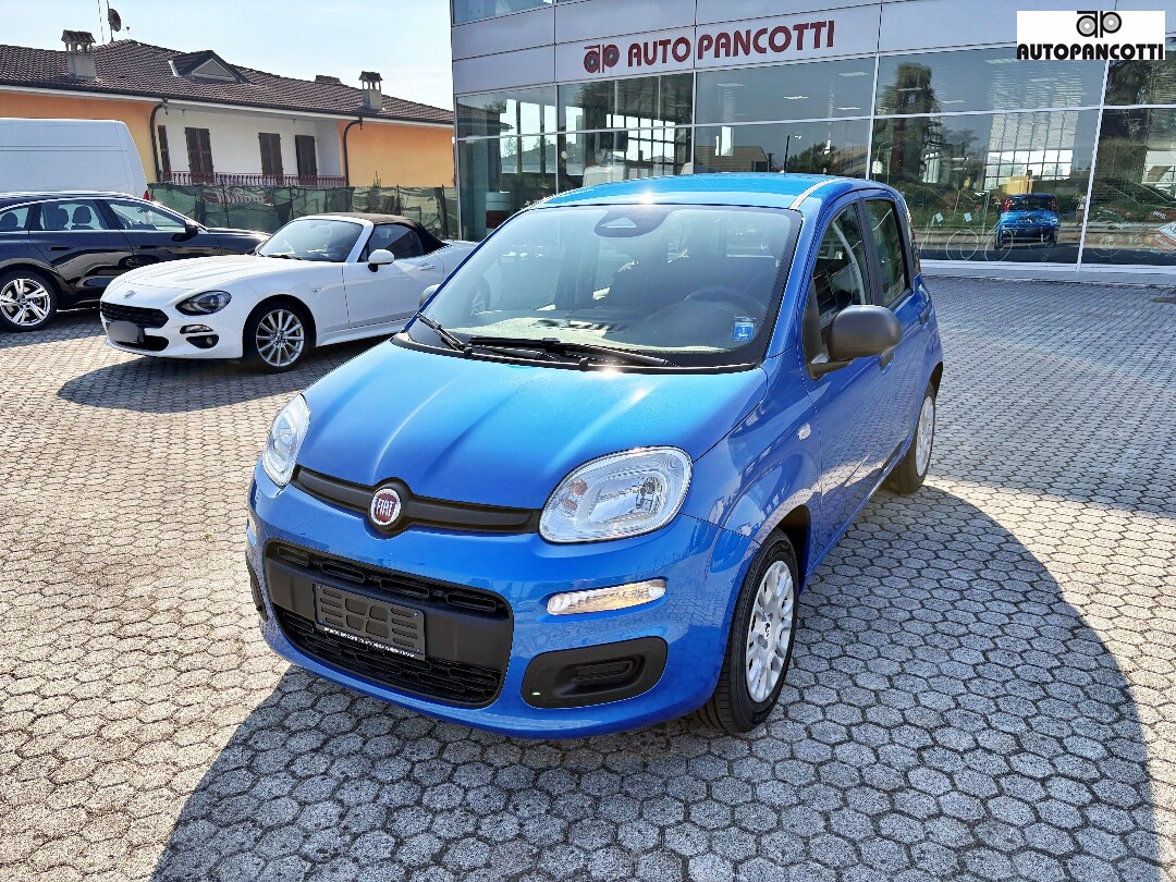 FIAT Pandina