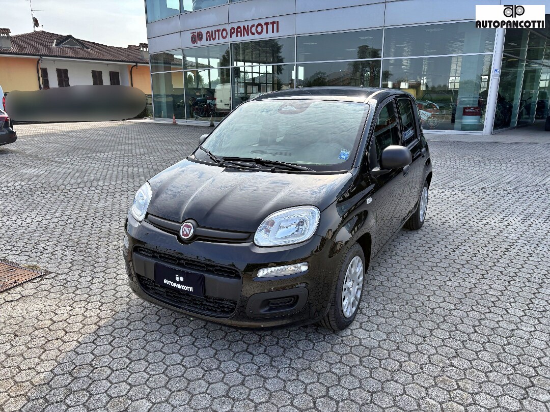 FIAT Pandina