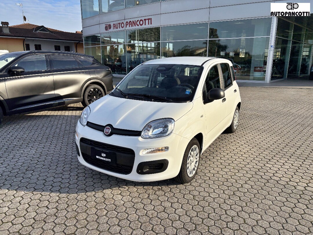 FIAT Pandina
