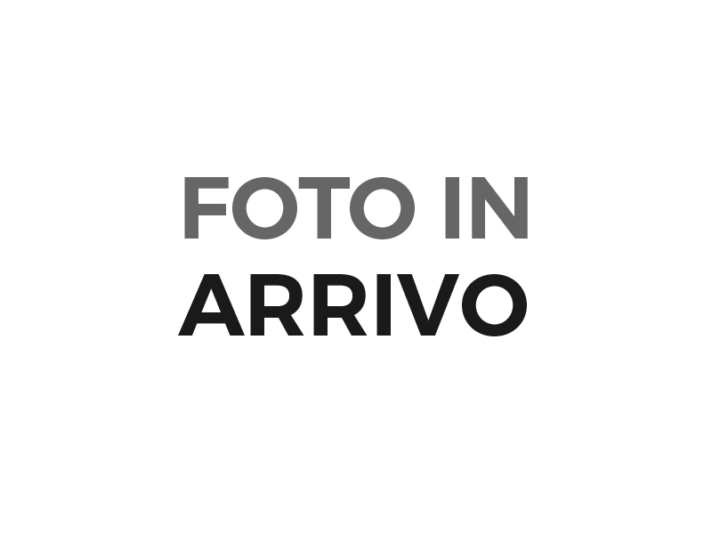 FIAT 500 (2015-2024)